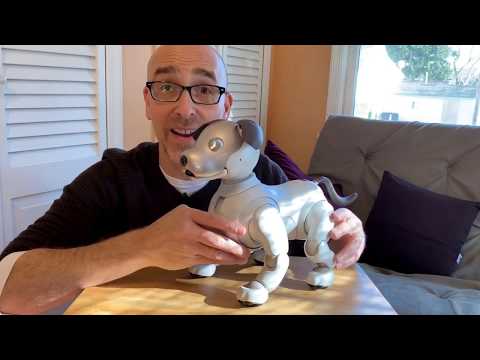 Sony Aibo ERS-1000 by Sony Robotics