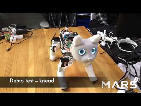 Marscat | Demo Testing - knead