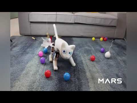 Marscat | Demo Testing