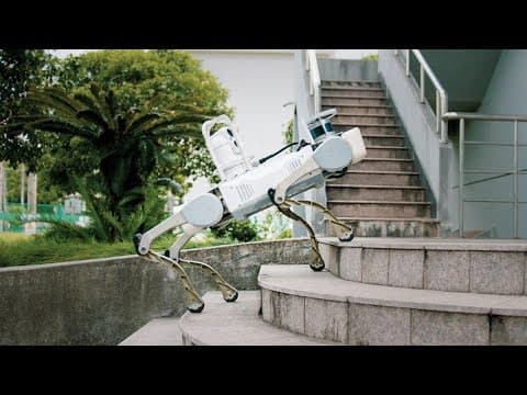 Jueying X20: Define a New Boundary for Quadruped Robot Industry Applications
